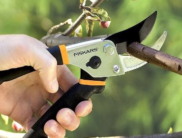 Which is best, Anvil or Bypass Pruner?