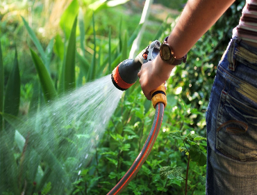 Garden Watering Tips