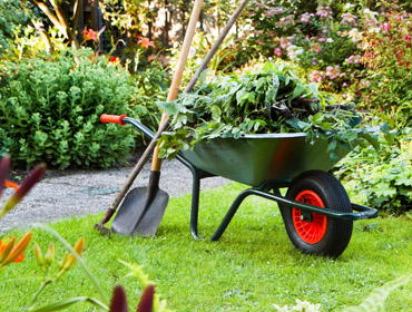 Get your Garden Into Shape