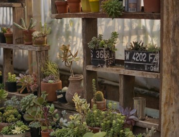 6 Easy DIY Garden Projects