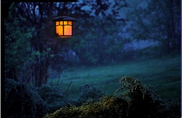 Tips on choosing right type of Garden Lights