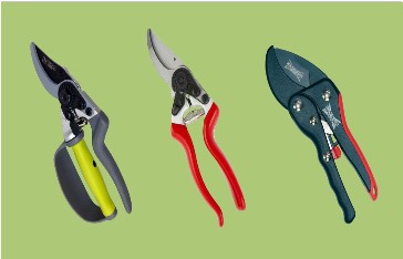 3 types of Secateurs or Pruners